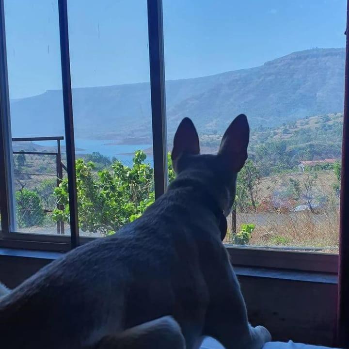 Mysticstays Resort Wai Εξωτερικό φωτογραφία